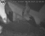 Capi_Dubne_20250806_220503.jpg