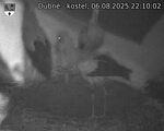 Capi_Dubne_20250806_221002.jpg