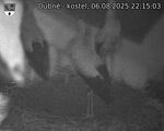 Capi_Dubne_20250806_221503.jpg