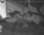Capi_Dubne_20250806_223503.jpg