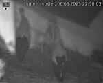 Capi_Dubne_20250806_225003.jpg