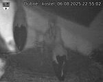Capi_Dubne_20250806_225502.jpg