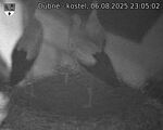 Capi_Dubne_20250806_230502.jpg