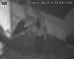 Capi_Dubne_20250806_231503.jpg