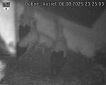 Capi_Dubne_20250806_232503.jpg