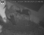 Capi_Dubne_20250806_234002.jpg