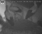 Capi_Dubne_20250806_235502.jpg