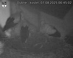 Capi_Dubne_20250807_004502.jpg