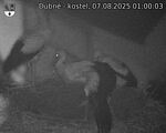 Capi_Dubne_20250807_010003.jpg