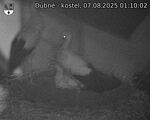 Capi_Dubne_20250807_011002.jpg