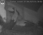 Capi_Dubne_20250807_013002.jpg