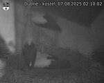 Capi_Dubne_20250807_021002.jpg