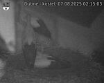 Capi_Dubne_20250807_021503.jpg