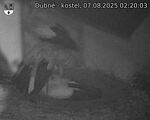 Capi_Dubne_20250807_022003.jpg