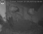 Capi_Dubne_20250807_025003.jpg