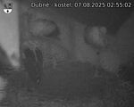 Capi_Dubne_20250807_025502.jpg