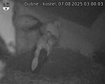 Capi_Dubne_20250807_030003.jpg