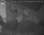 Capi_Dubne_20250807_034002.jpg