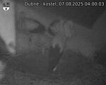 Capi_Dubne_20250807_040003.jpg