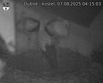 Capi_Dubne_20250807_041503.jpg