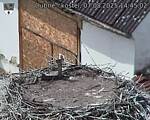 Capi_Dubne_20250807_144502.jpg