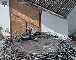 Capi_Dubne_20250807_150504.jpg