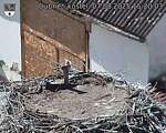 Capi_Dubne_20250807_152003.jpg