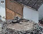 Capi_Dubne_20250807_153004.jpg