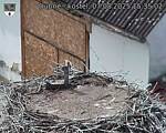Capi_Dubne_20250807_153502.jpg