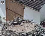 Capi_Dubne_20250807_155503.jpg