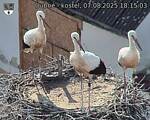 Capi_Dubne_20250807_181503.jpg
