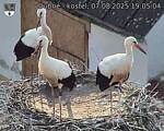 Capi_Dubne_20250807_190504.jpg