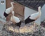 Capi_Dubne_20250807_191002.jpg