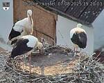 Capi_Dubne_20250807_192003.jpg