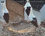 Capi_Dubne_20250807_194003.jpg