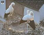 Capi_Dubne_20250807_200002.jpg