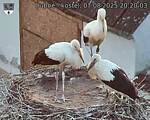 Capi_Dubne_20250807_202003.jpg