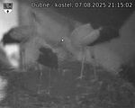 Capi_Dubne_20250807_211502.jpg