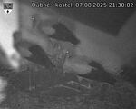 Capi_Dubne_20250807_213002.jpg