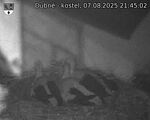 Capi_Dubne_20250807_214502.jpg