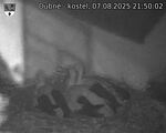 Capi_Dubne_20250807_215002.jpg