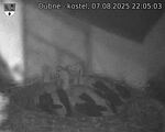Capi_Dubne_20250807_220503.jpg