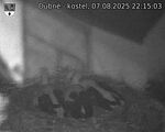 Capi_Dubne_20250807_221503.jpg