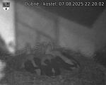 Capi_Dubne_20250807_222002.jpg