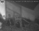 Capi_Dubne_20250807_224003.jpg
