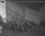 Capi_Dubne_20250807_230003.jpg