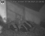 Capi_Dubne_20250807_232002.jpg