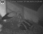 Capi_Dubne_20250807_232503.jpg