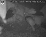 Capi_Dubne_20250807_234003.jpg