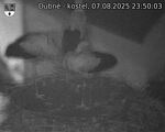 Capi_Dubne_20250807_235003.jpg